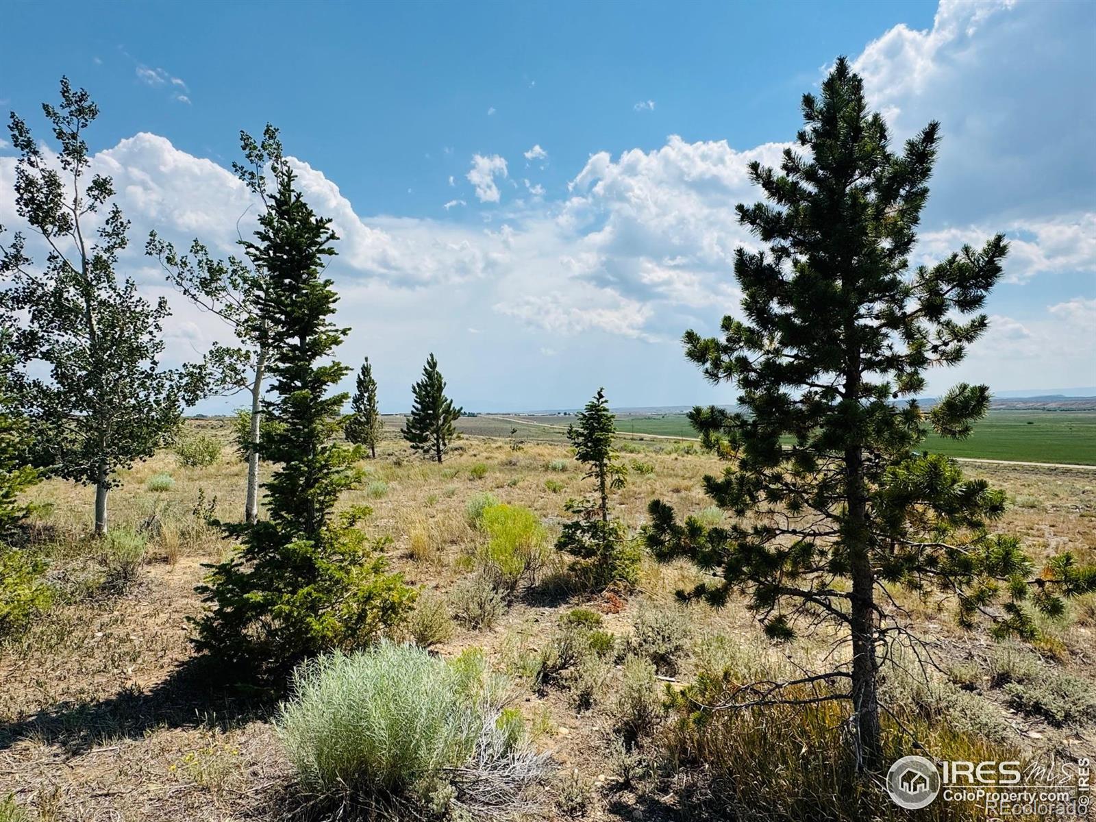 MLS Image #34 for 34694  highway 125 ,walden, Colorado