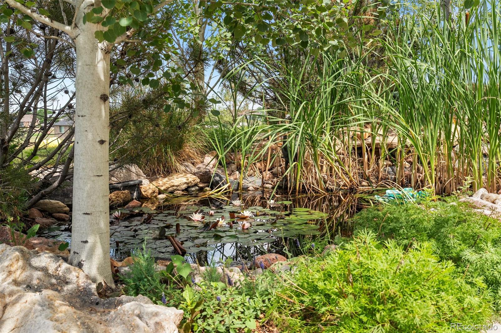 MLS Image #40 for 14870  mariposa court,westminster, Colorado
