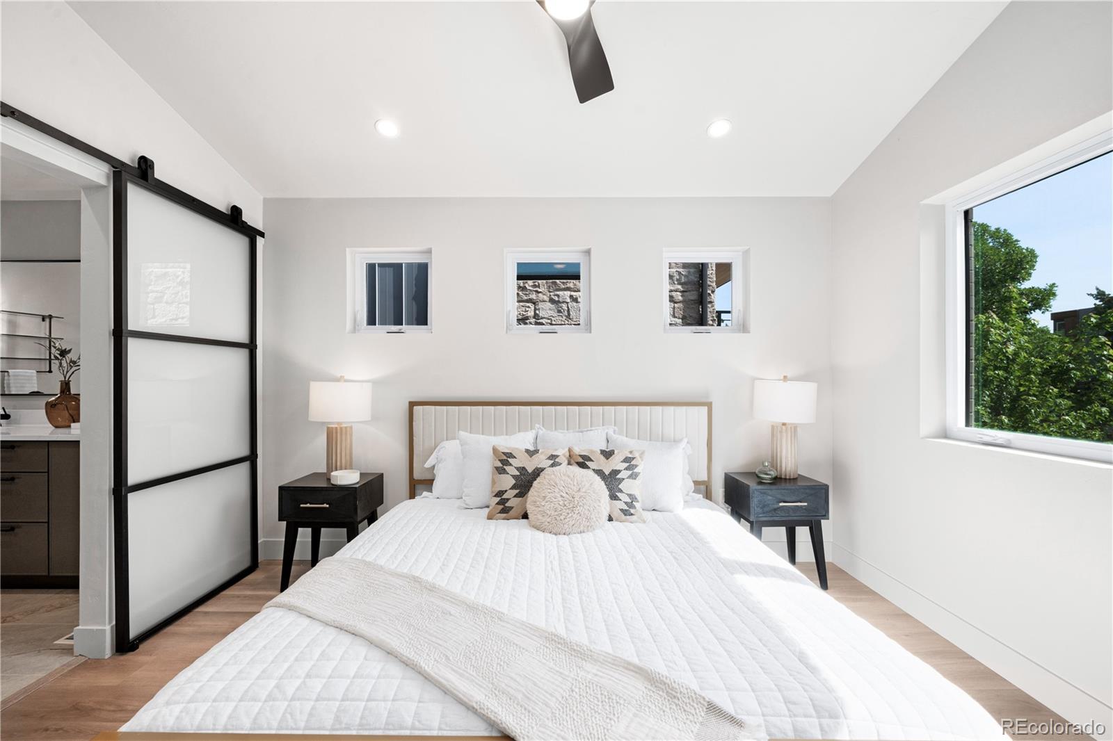 MLS Image #16 for 3939  lipan street,denver, Colorado
