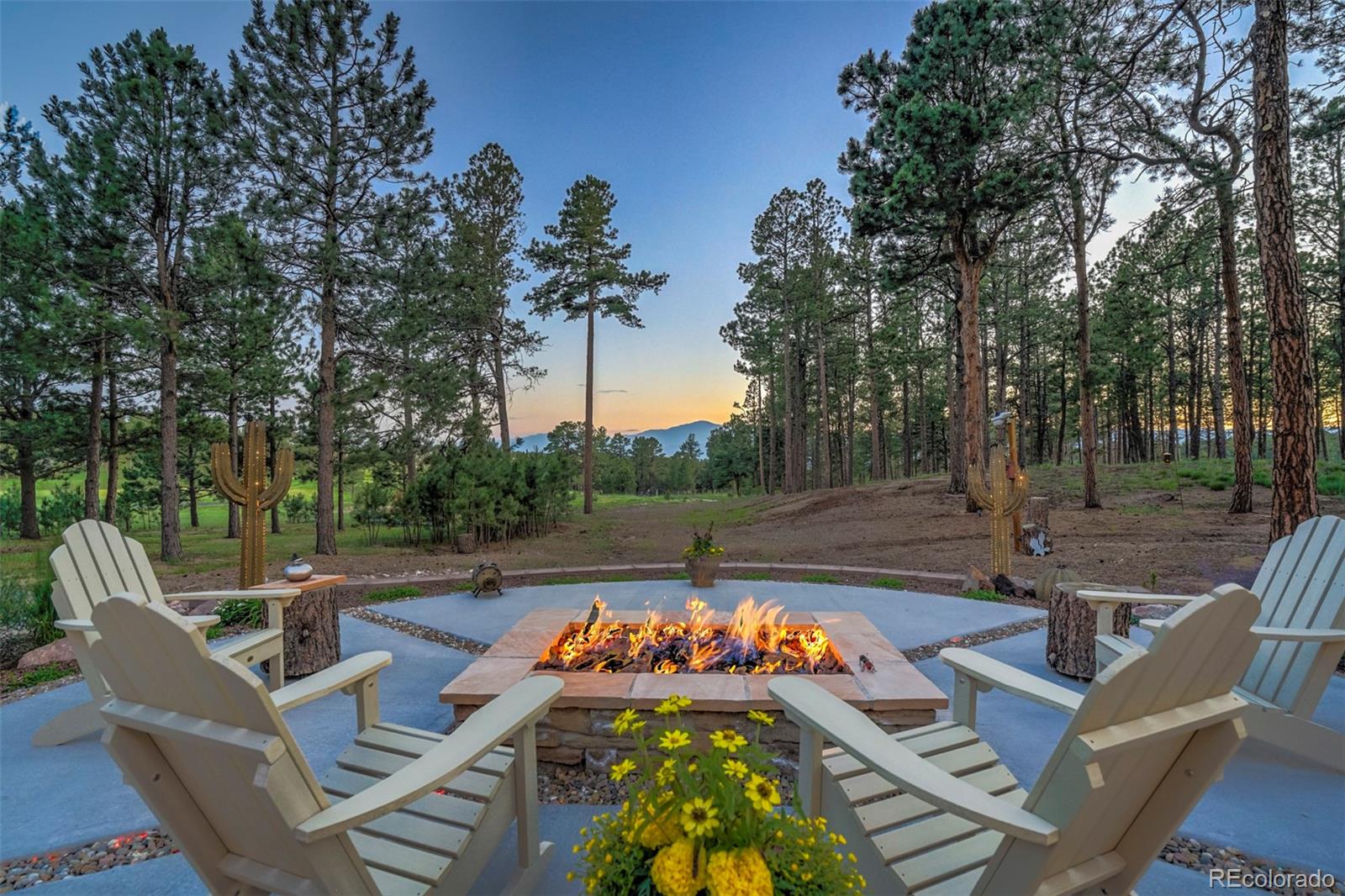 MLS Image #49 for 4090  foxchase way,colorado springs, Colorado