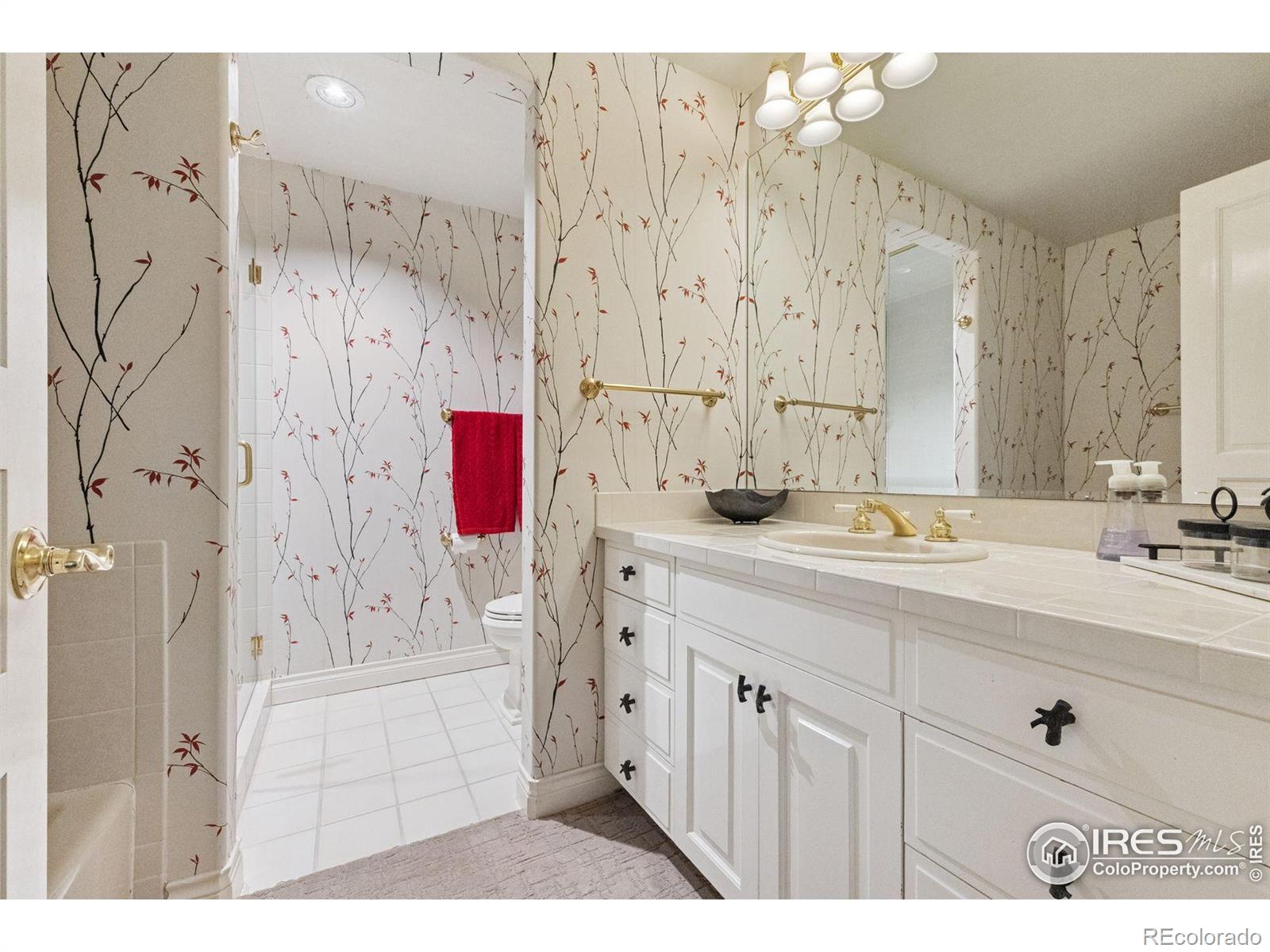 MLS Image #27 for 337  tamasoa place,castle rock, Colorado