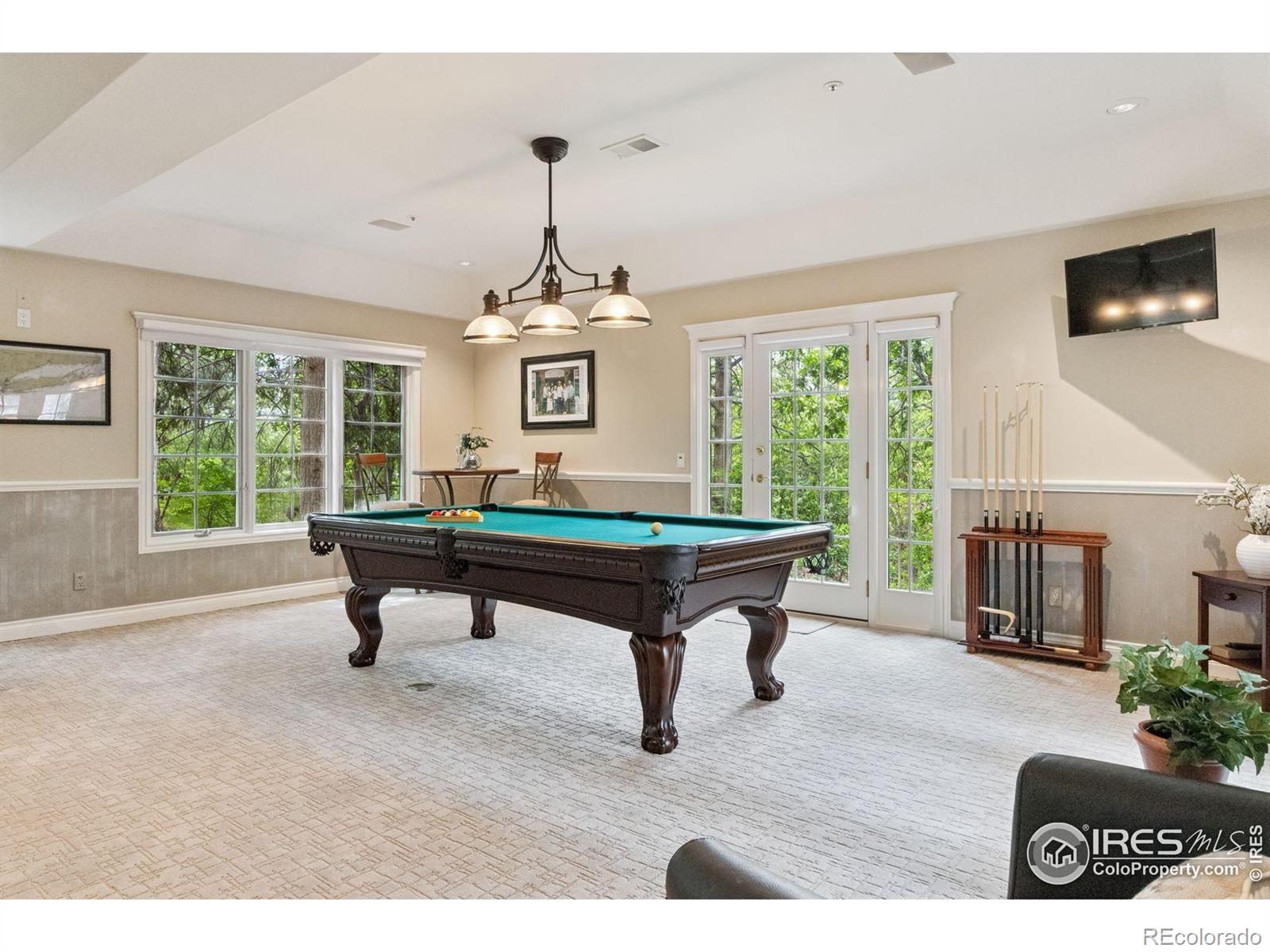 MLS Image #29 for 337  tamasoa place,castle rock, Colorado