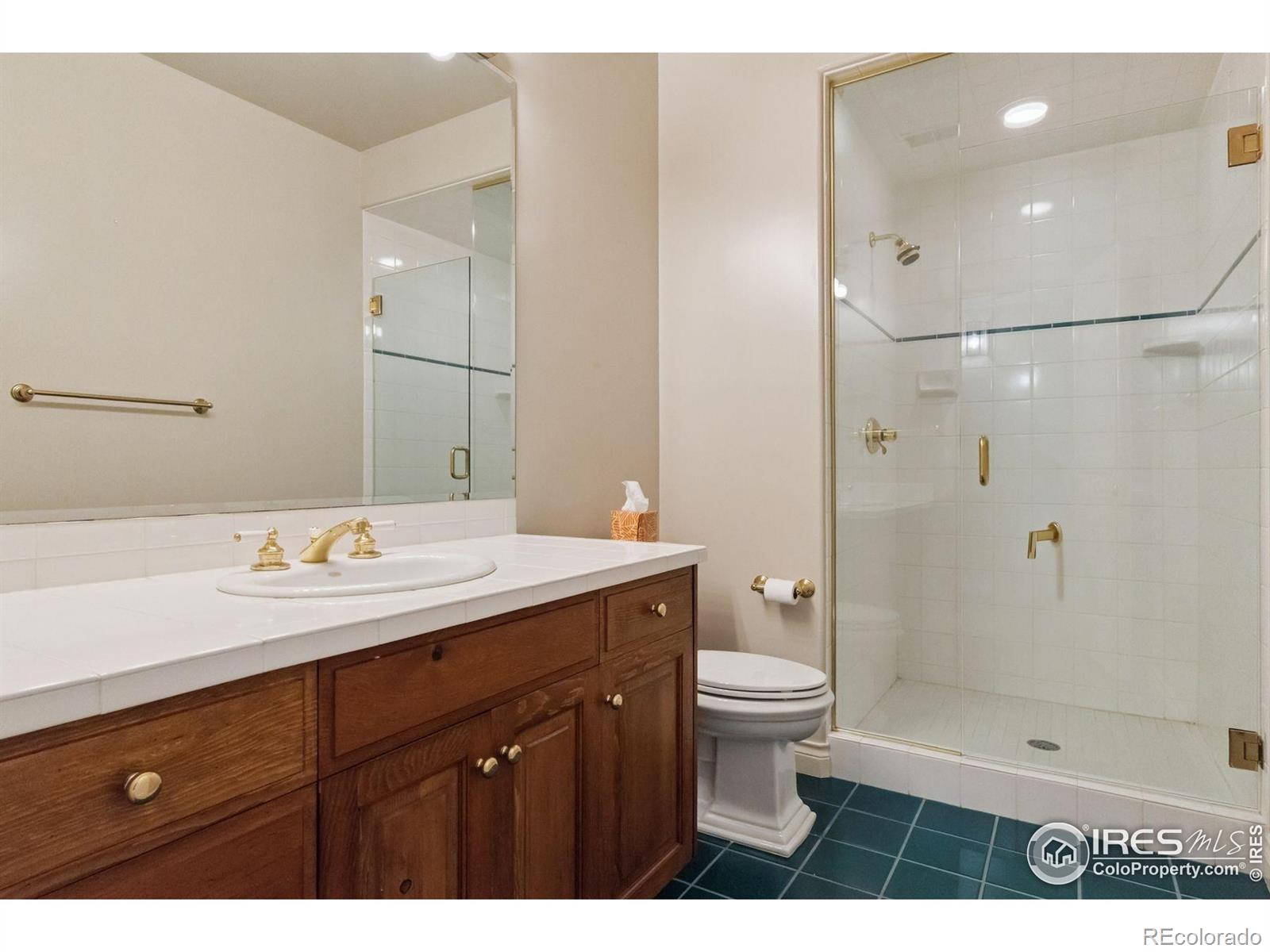 MLS Image #33 for 337  tamasoa place,castle rock, Colorado