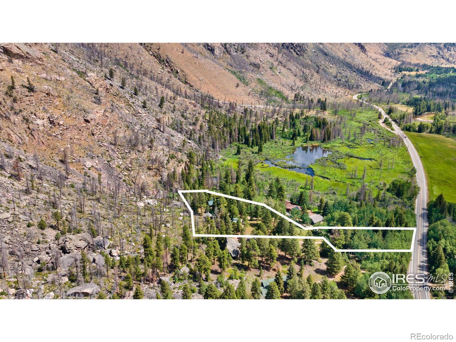 MLS Image #1 for 87  shady rest lane,bellvue, Colorado