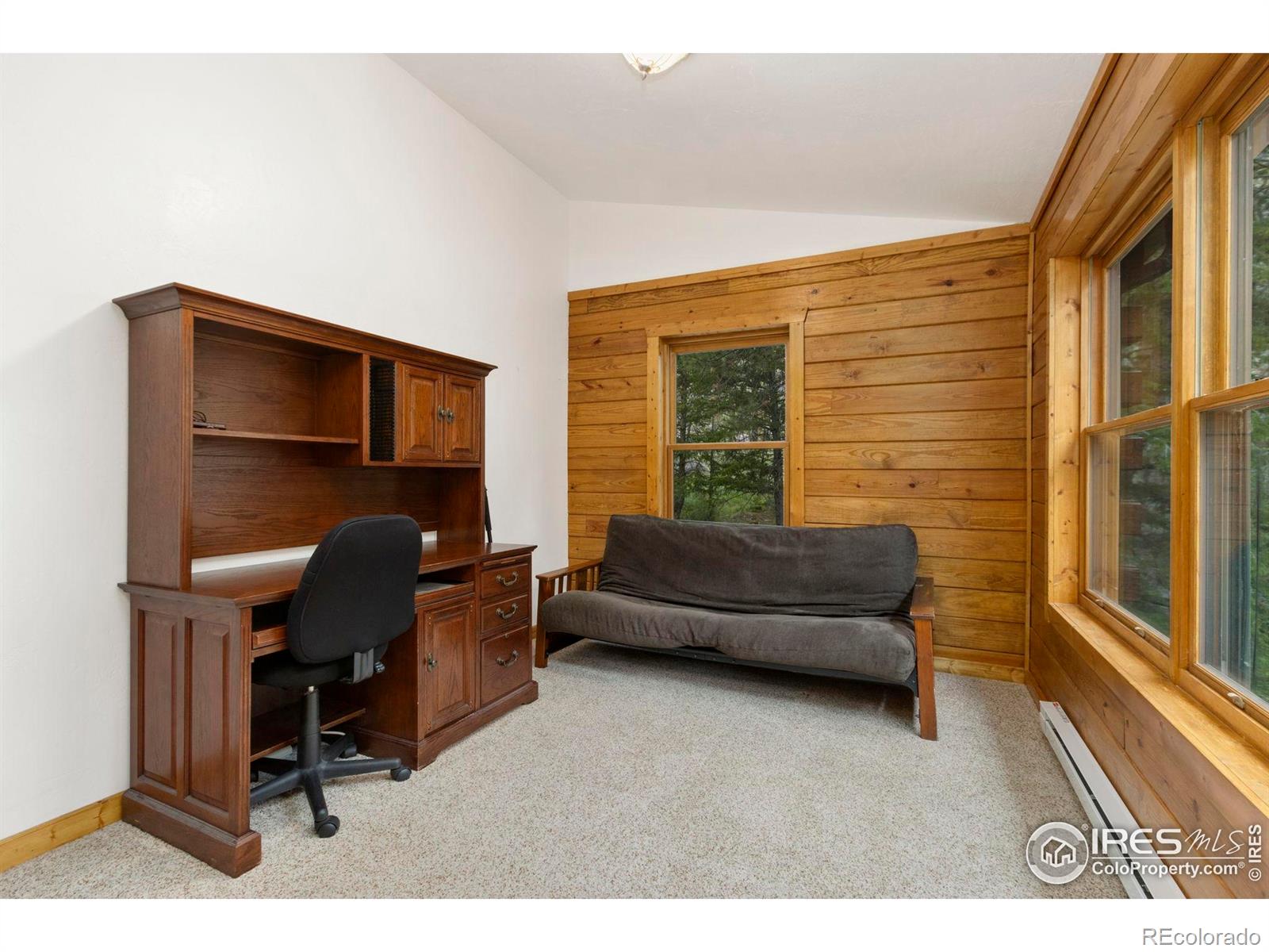 MLS Image #19 for 87  shady rest lane,bellvue, Colorado