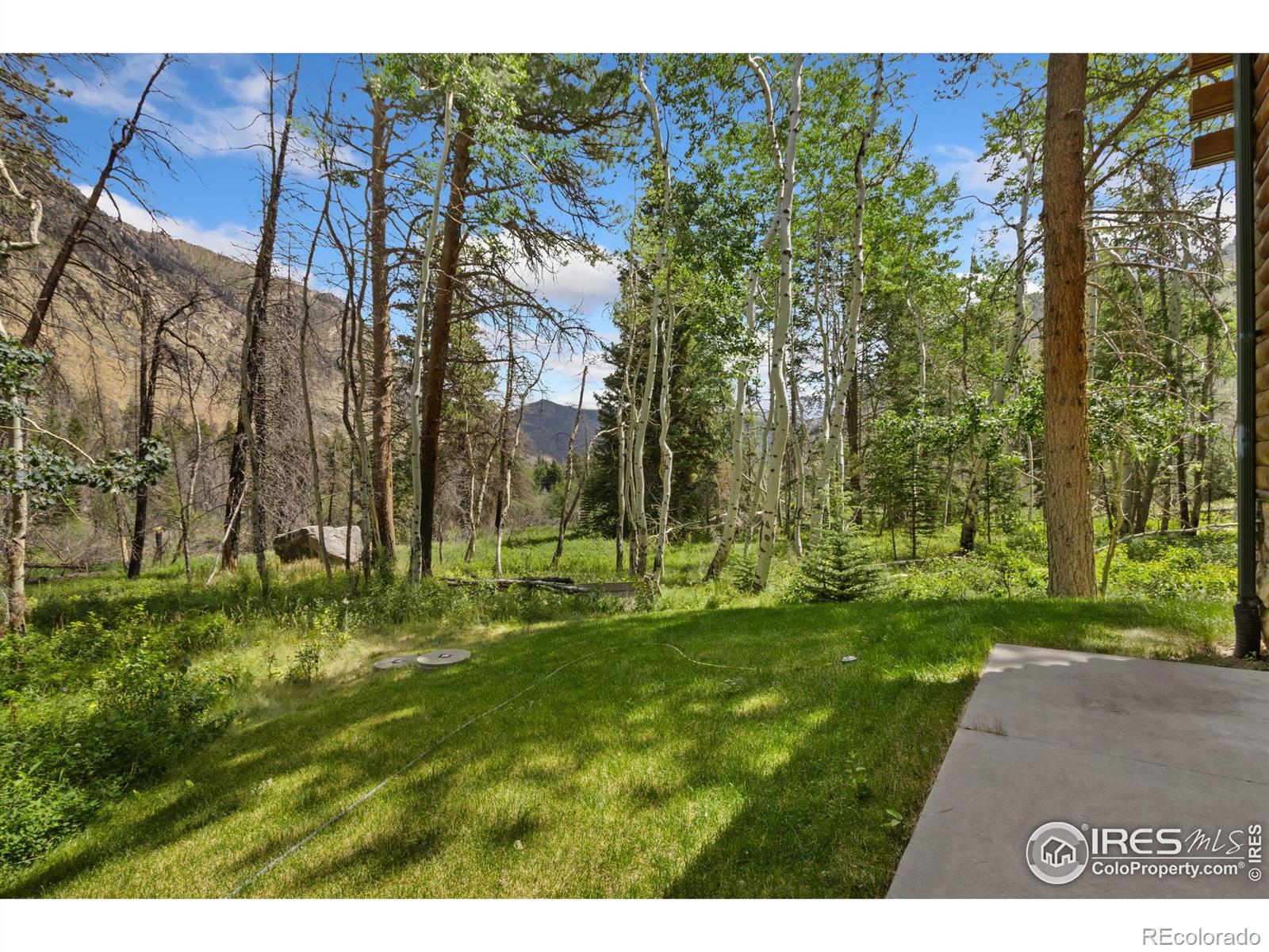 MLS Image #29 for 87  shady rest lane,bellvue, Colorado
