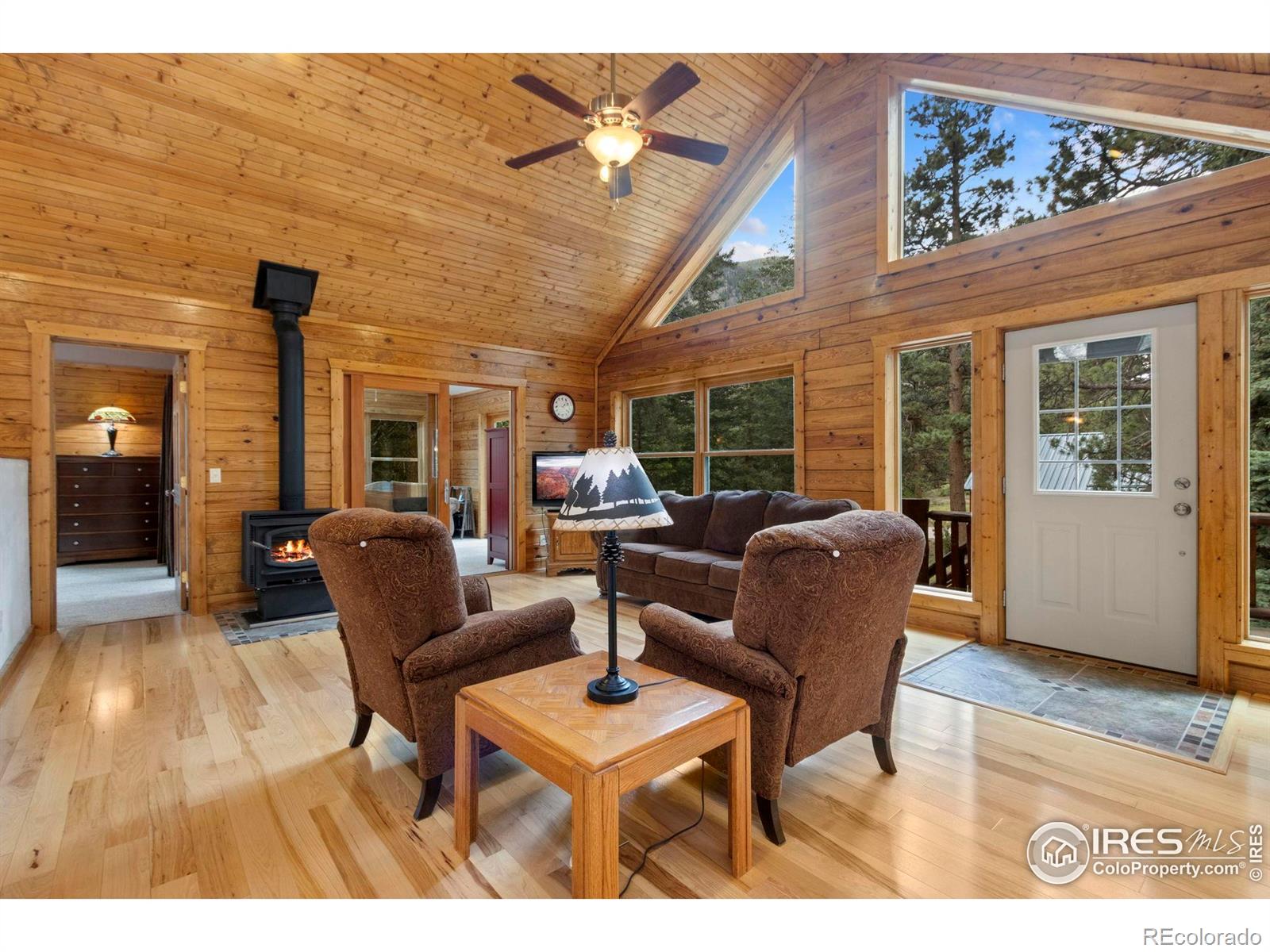 MLS Image #7 for 87  shady rest lane,bellvue, Colorado