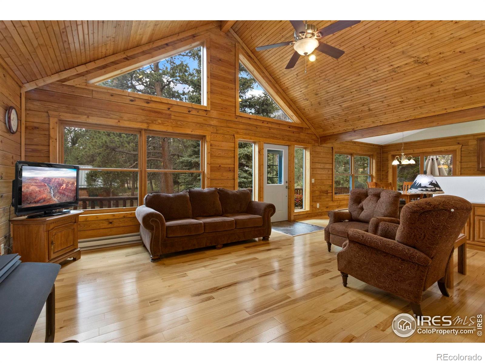 MLS Image #8 for 87  shady rest lane,bellvue, Colorado