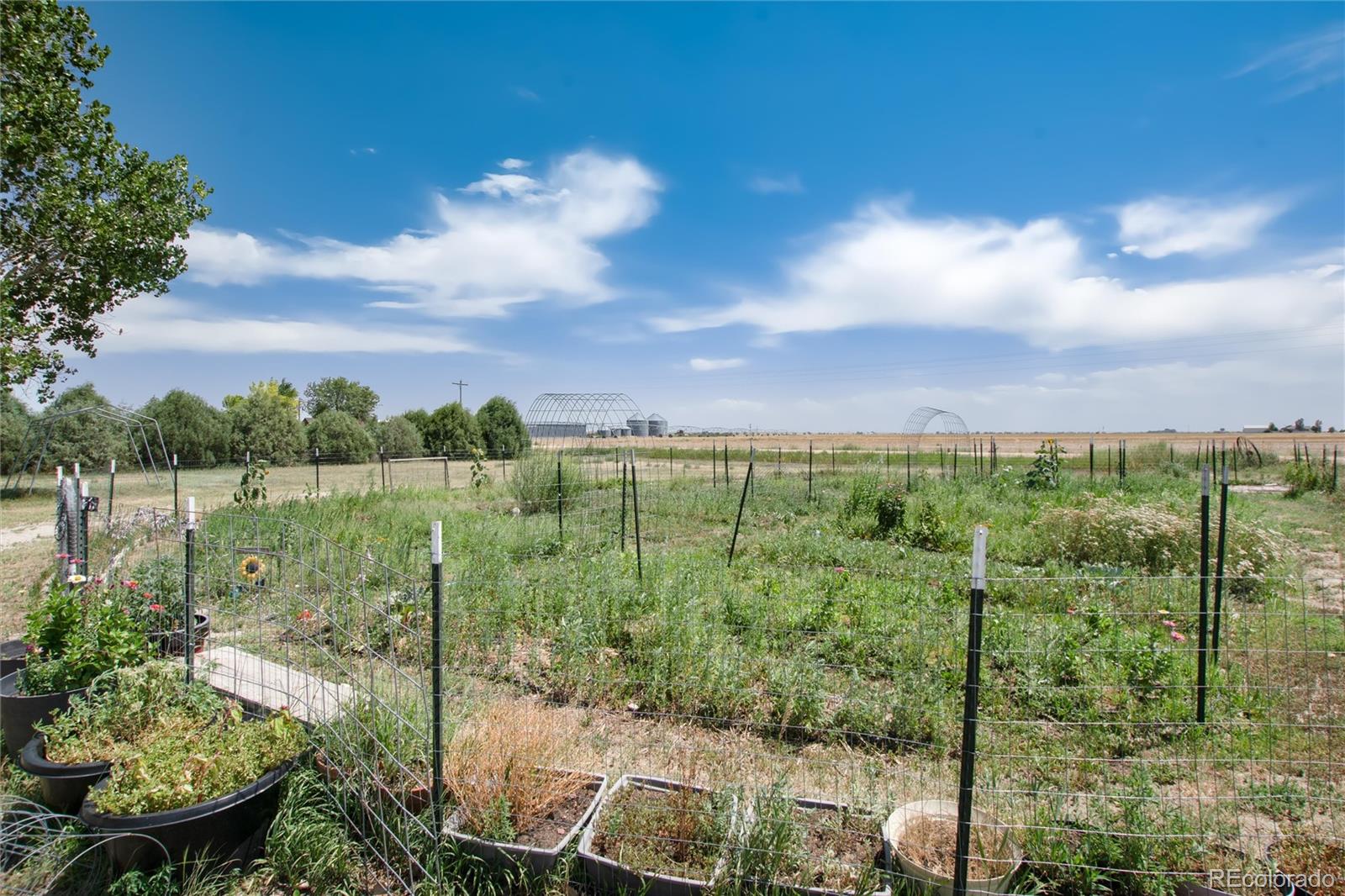MLS Image #36 for 7085  county road i ,wiggins, Colorado