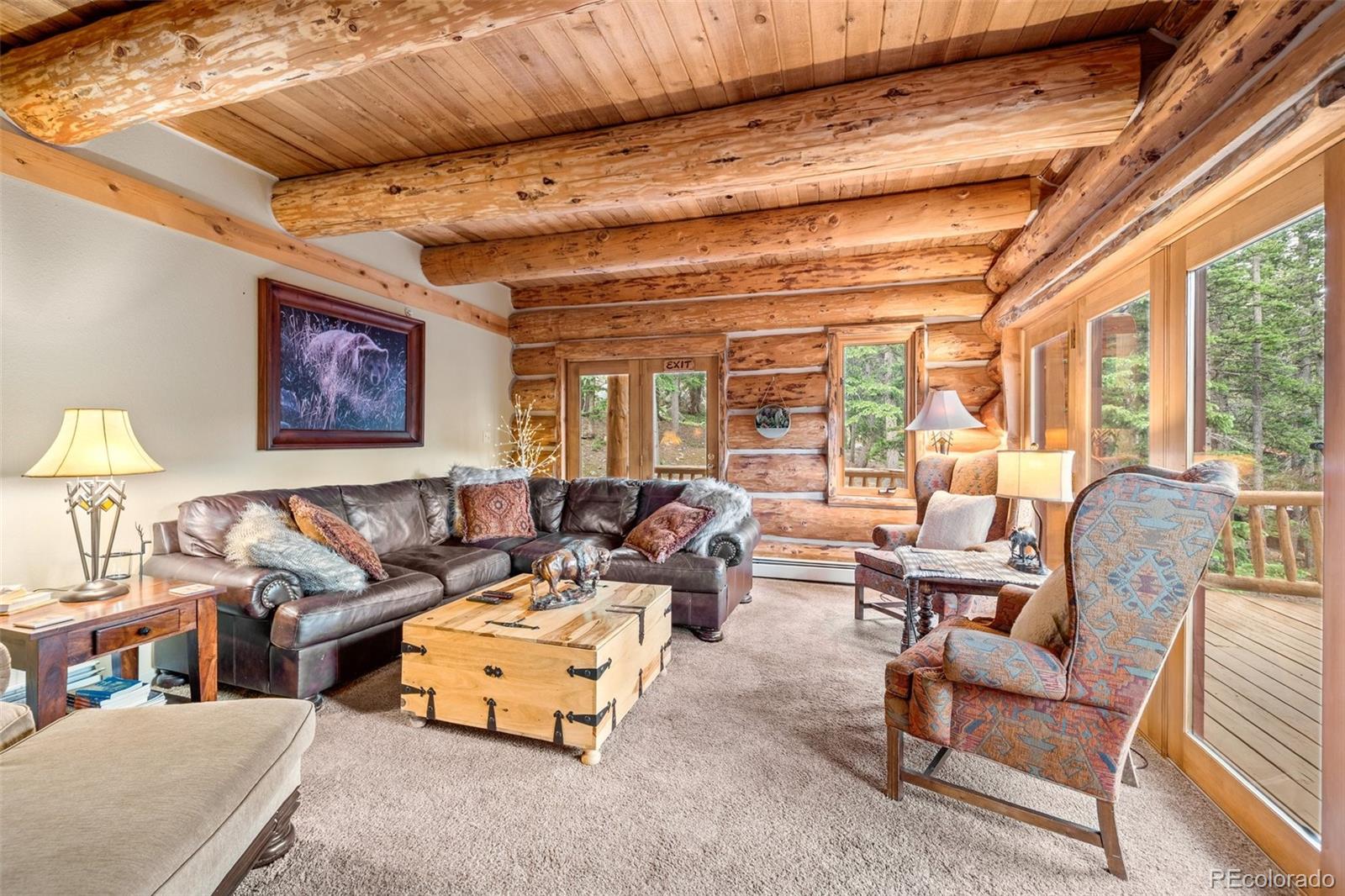 MLS Image #14 for 336  crest drive,idaho springs, Colorado