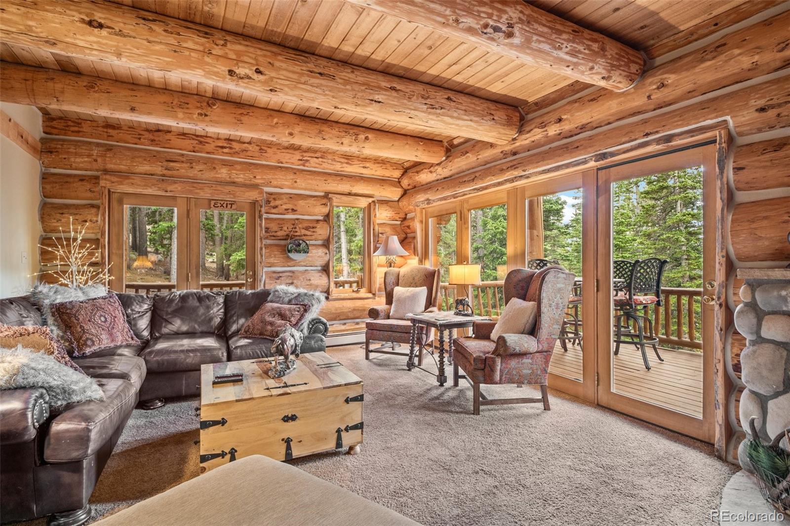 MLS Image #15 for 336  crest drive,idaho springs, Colorado