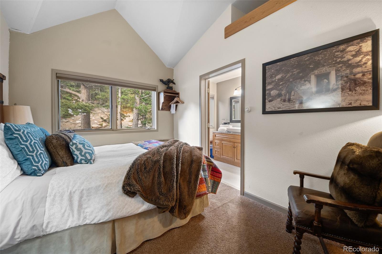 MLS Image #28 for 336  crest drive,idaho springs, Colorado
