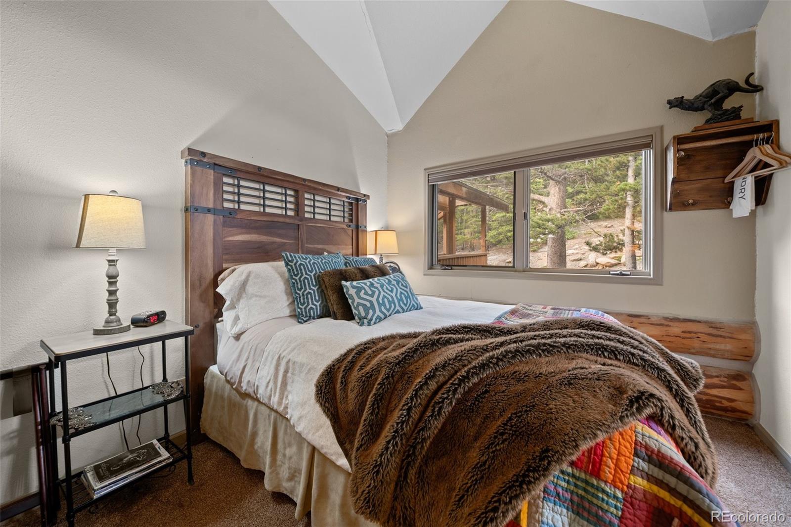 MLS Image #29 for 336  crest drive,idaho springs, Colorado