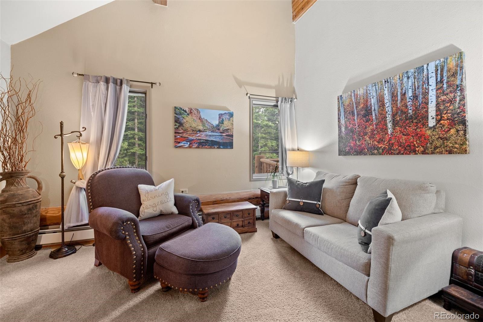 MLS Image #34 for 336  crest drive,idaho springs, Colorado