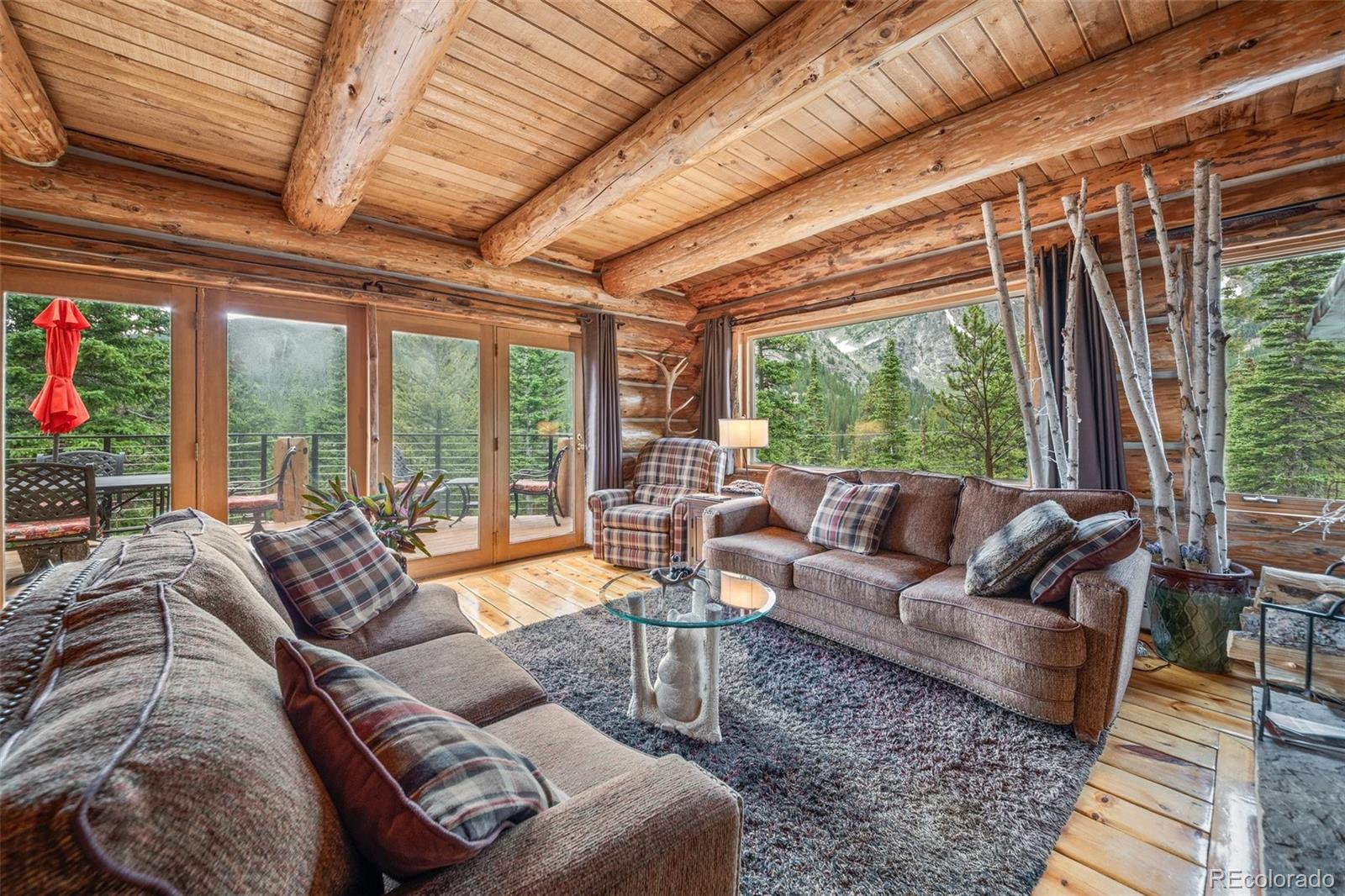 MLS Image #4 for 336  crest drive,idaho springs, Colorado