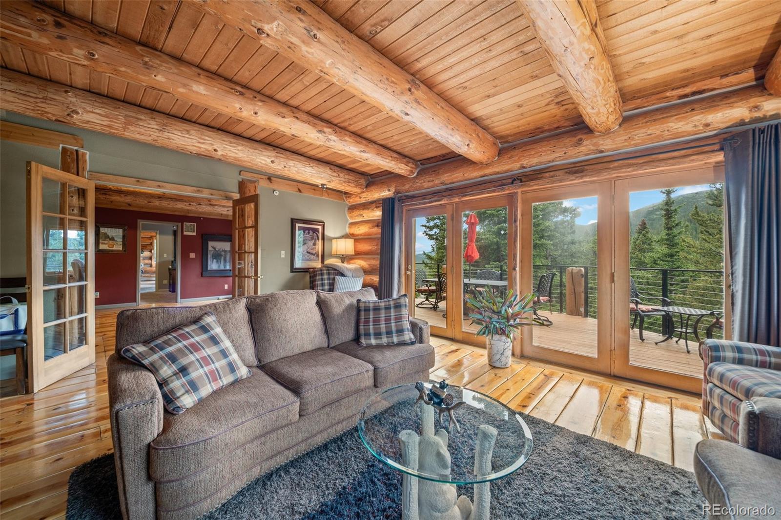 MLS Image #5 for 336  crest drive,idaho springs, Colorado