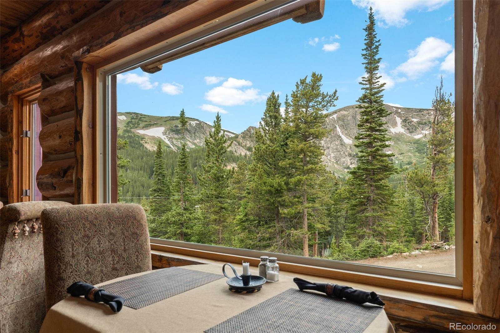 MLS Image #6 for 336  crest drive,idaho springs, Colorado
