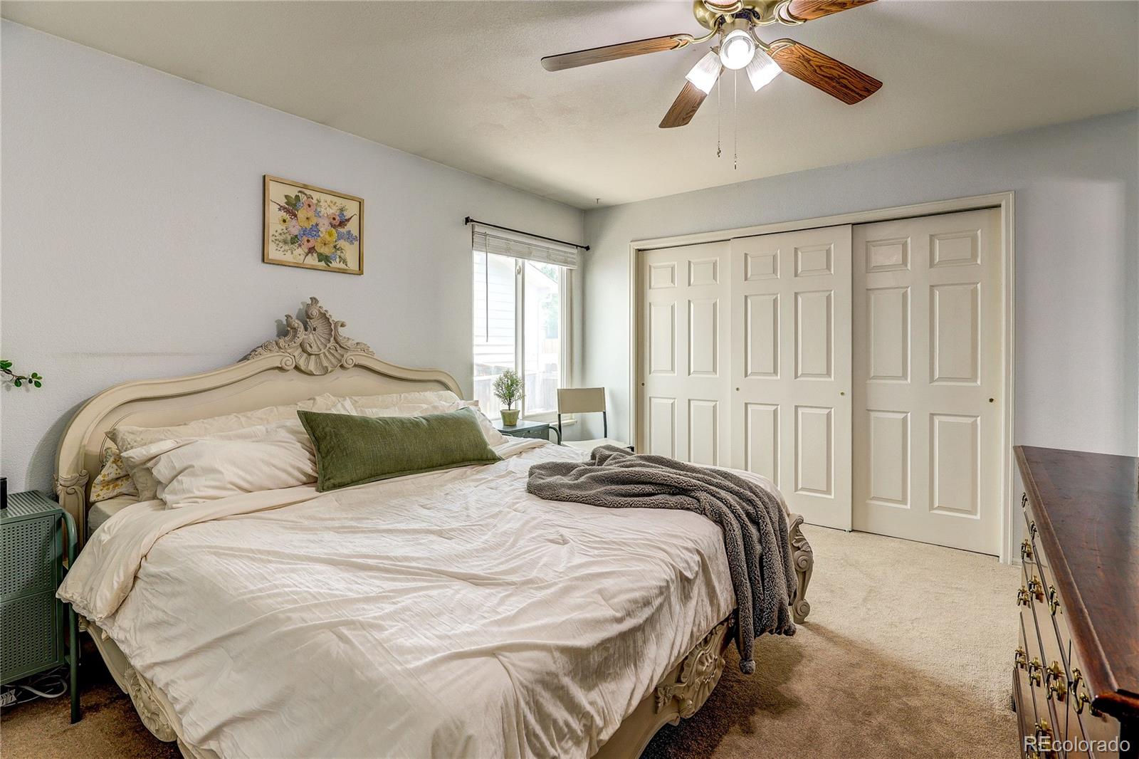 MLS Image #14 for 9471  burlington lane,highlands ranch, Colorado