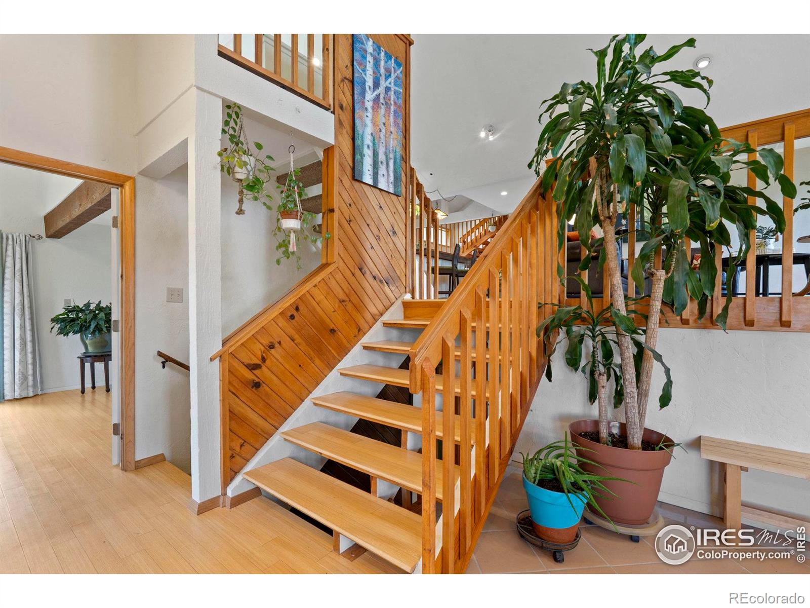 MLS Image #9 for 301  ridgewood court,fort collins, Colorado