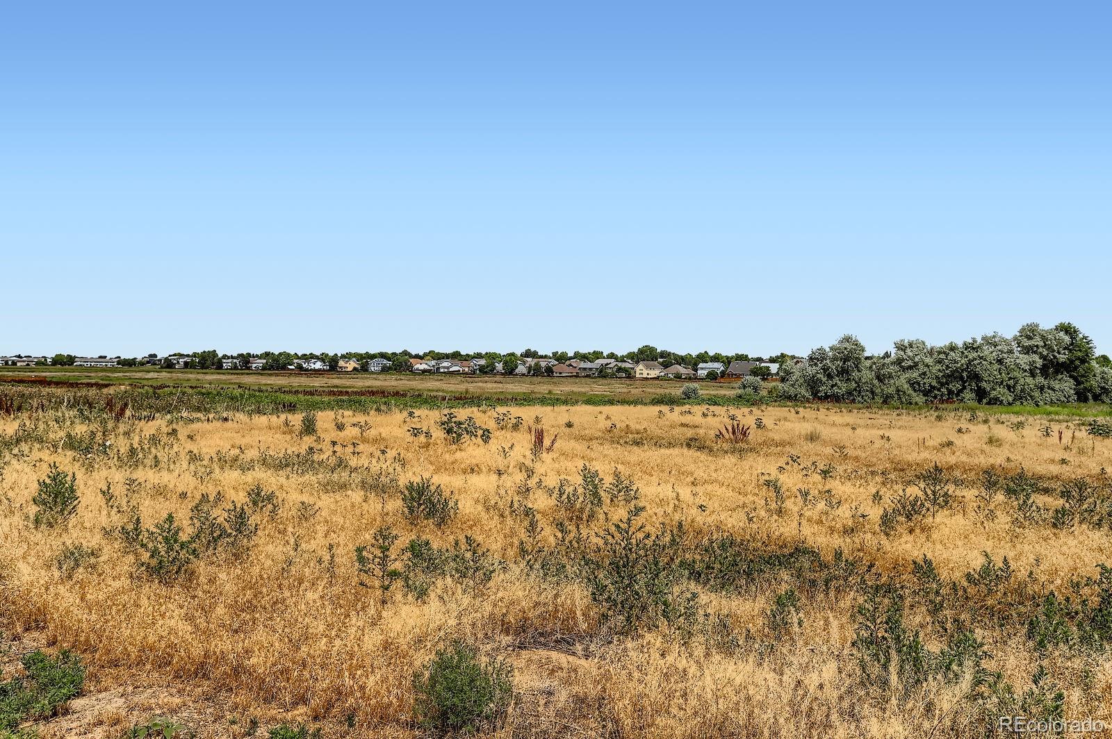 MLS Image #18 for 10238  stagecoach avenue,firestone, Colorado