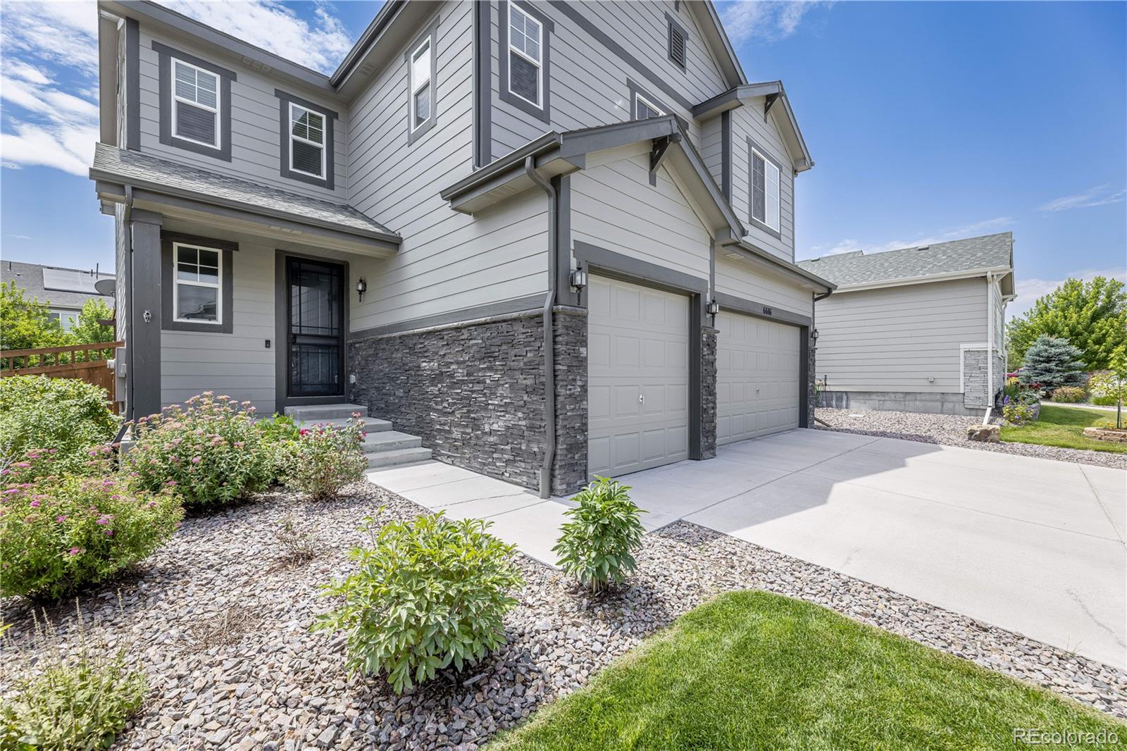 MLS Image #3 for 6616  amur lane,castle rock, Colorado