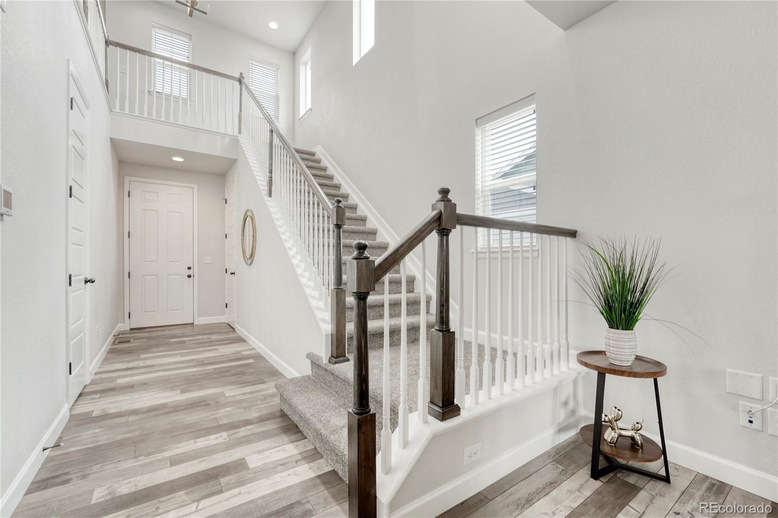 MLS Image #5 for 6616  amur lane,castle rock, Colorado