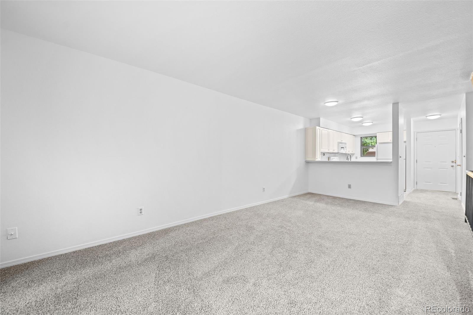 MLS Image #9 for 216  wright street,lakewood, Colorado
