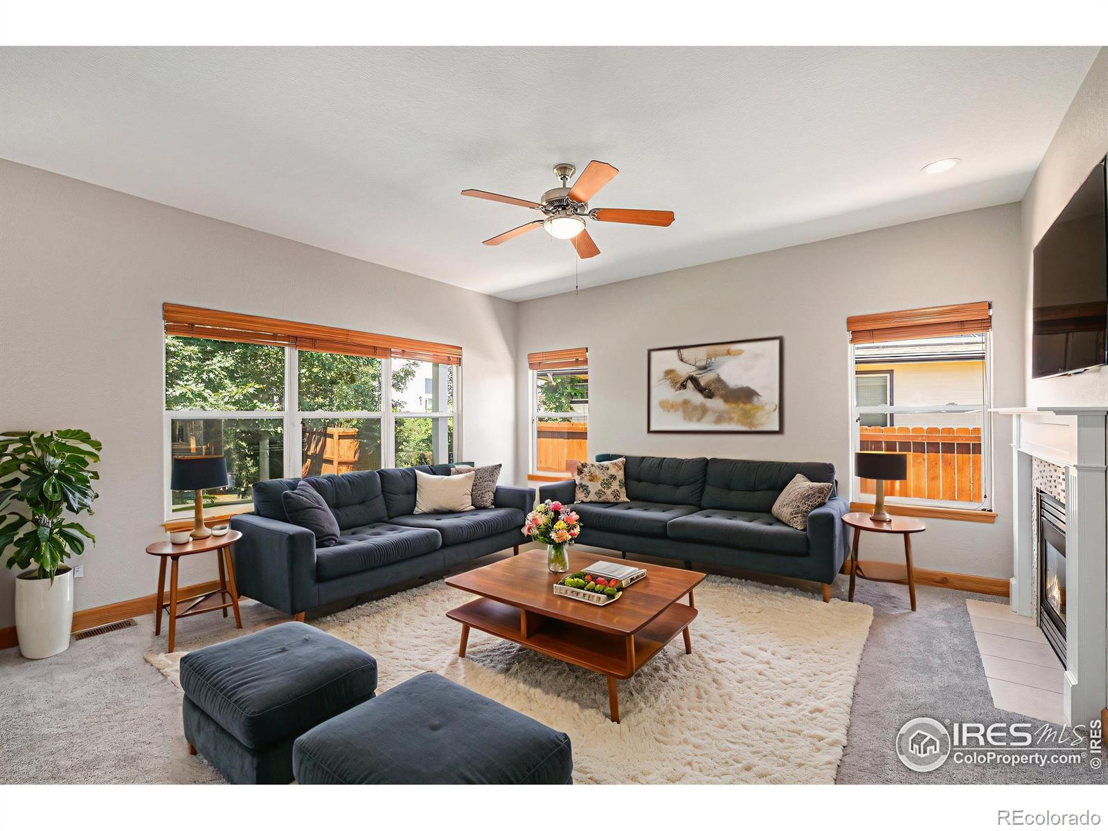 MLS Image #11 for 5516  wetlands drive,frederick, Colorado
