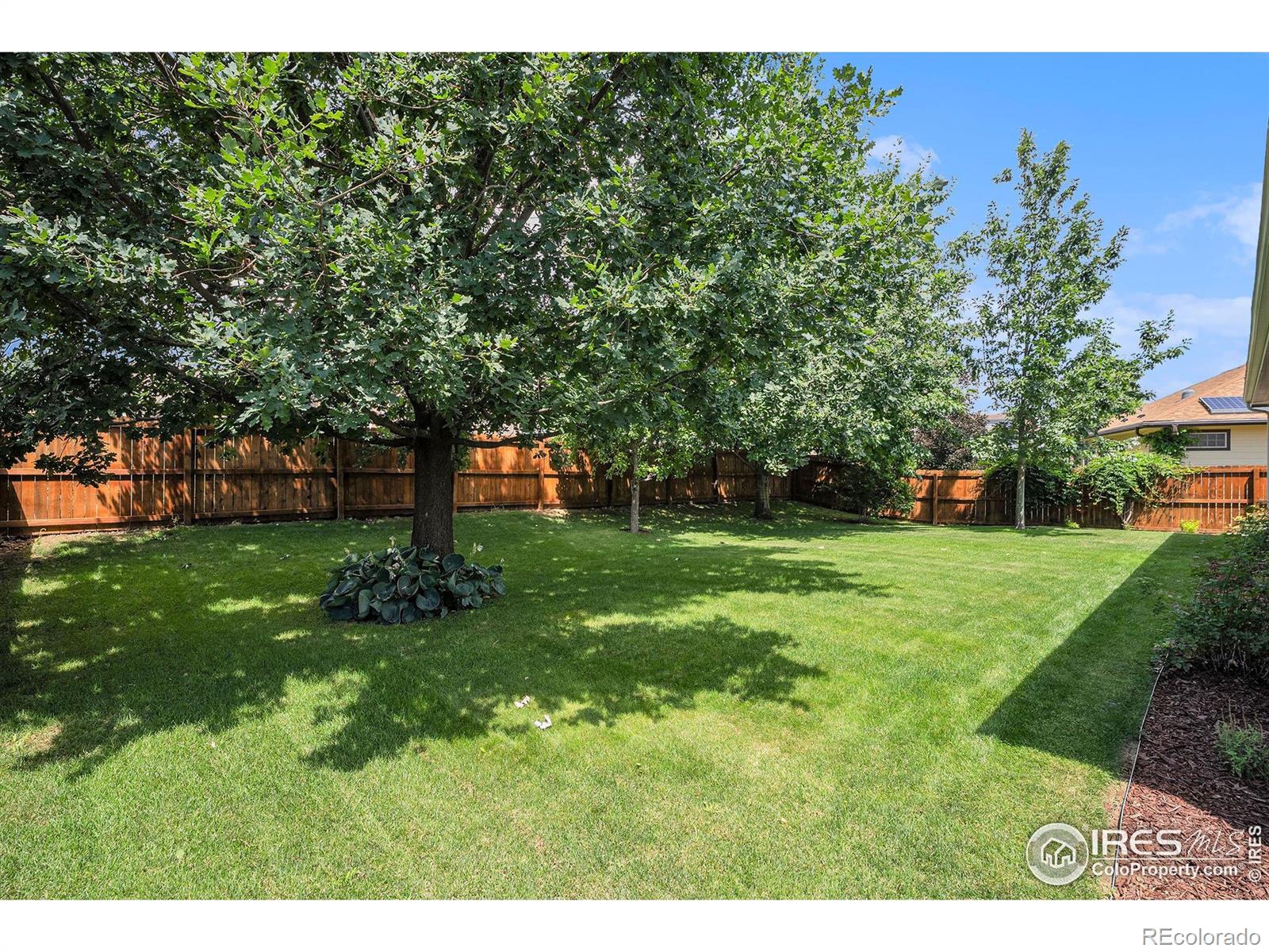 MLS Image #26 for 5516  wetlands drive,frederick, Colorado