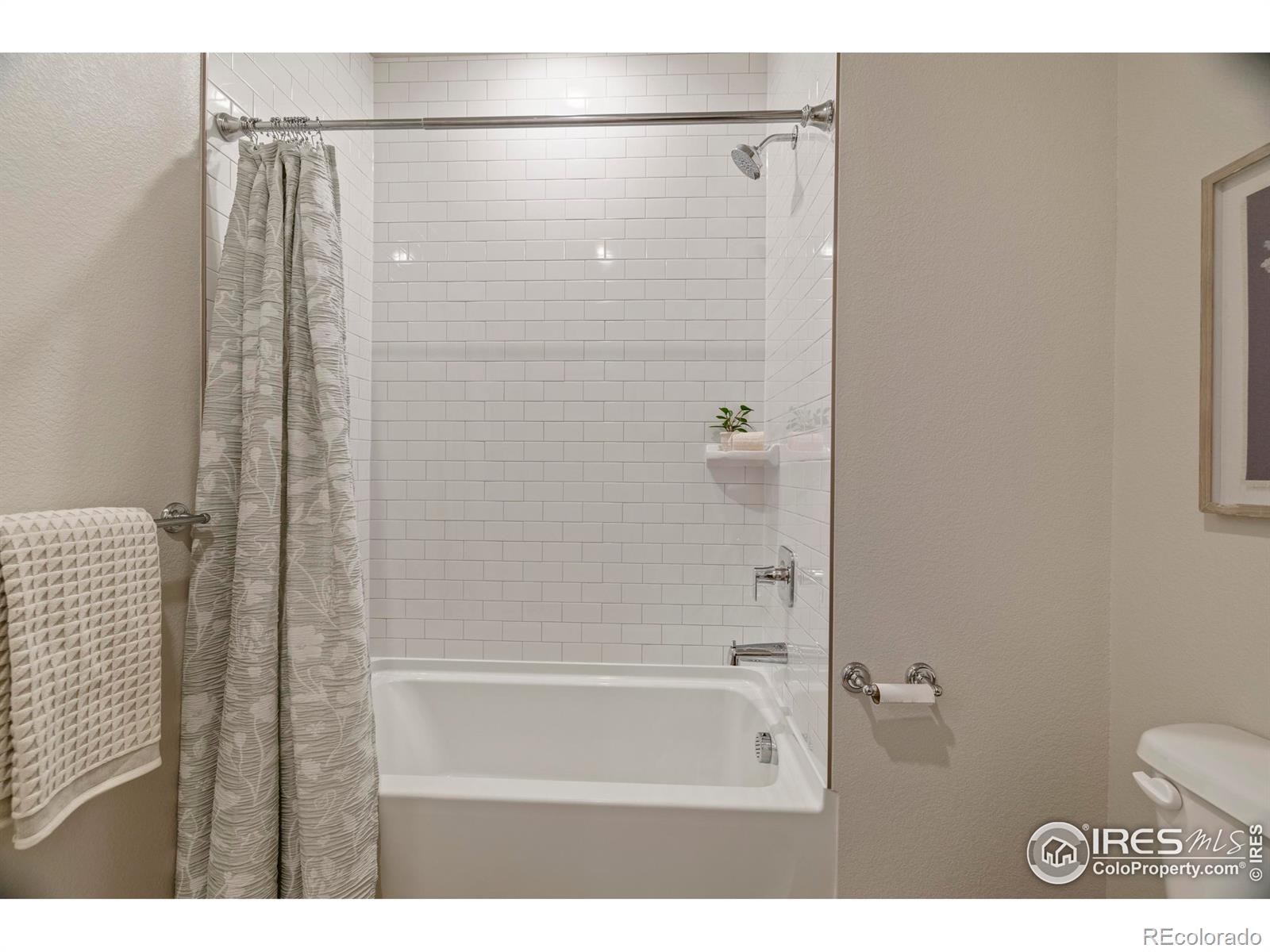 MLS Image #24 for 2102  setting sun drive,windsor, Colorado