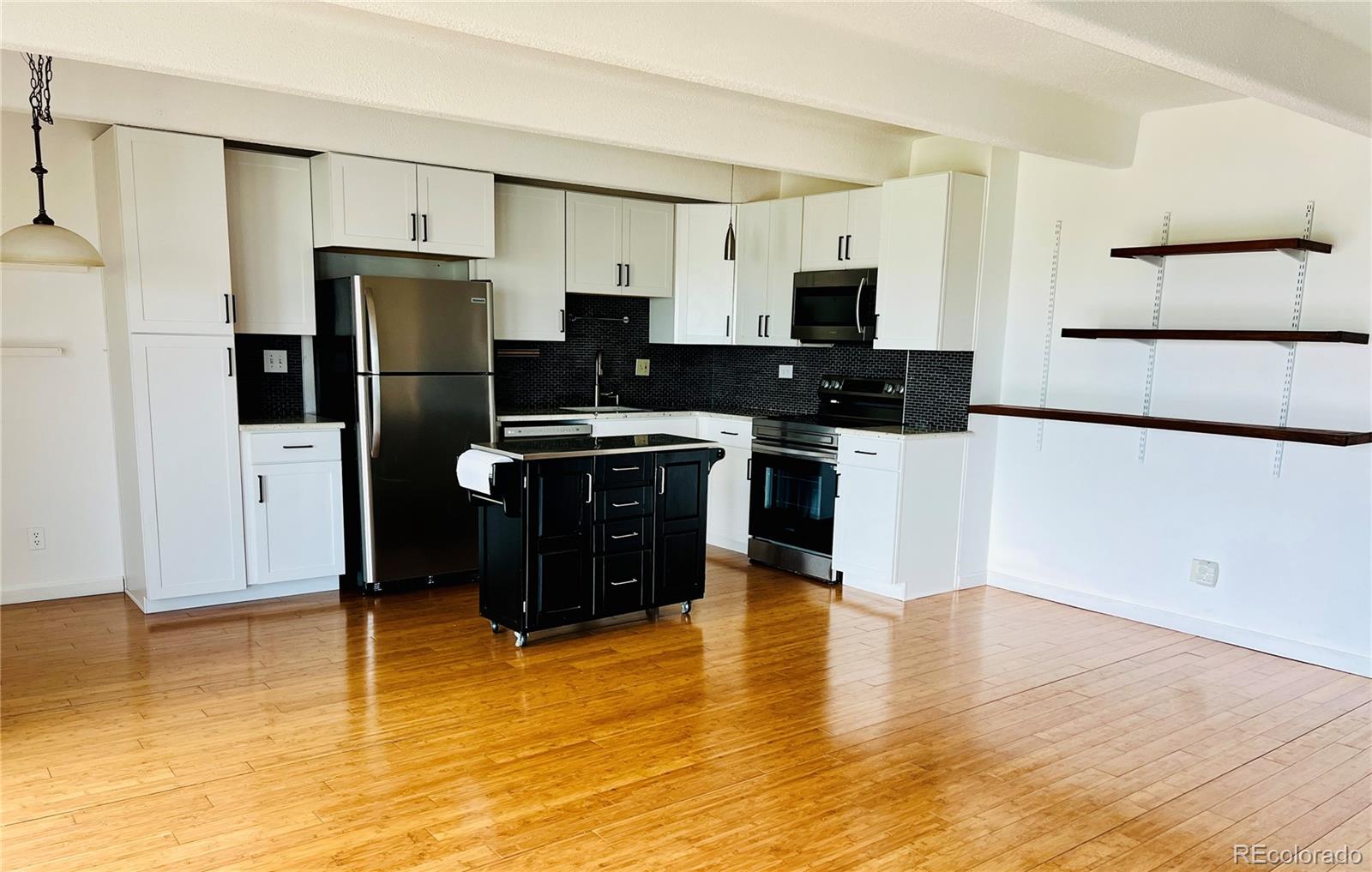 MLS Image #3 for 1255 n ogden street,denver, Colorado