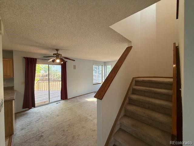 MLS Image #34 for 13192  bryant circle,broomfield, Colorado