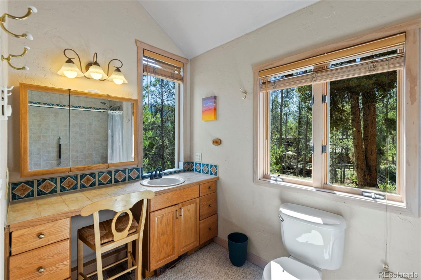 MLS Image #25 for 128  royal tiger road,breckenridge, Colorado
