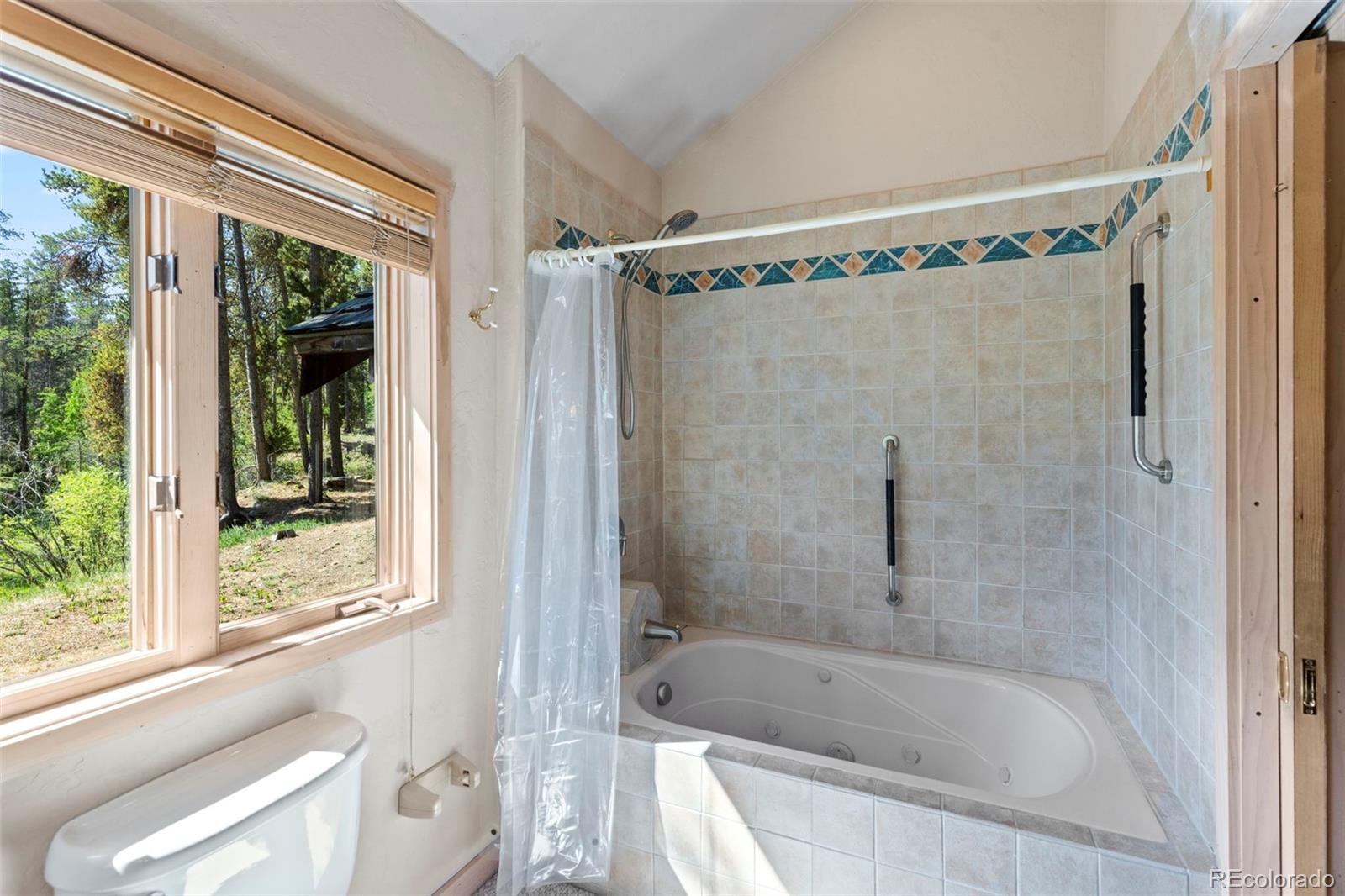 MLS Image #26 for 128  royal tiger road,breckenridge, Colorado