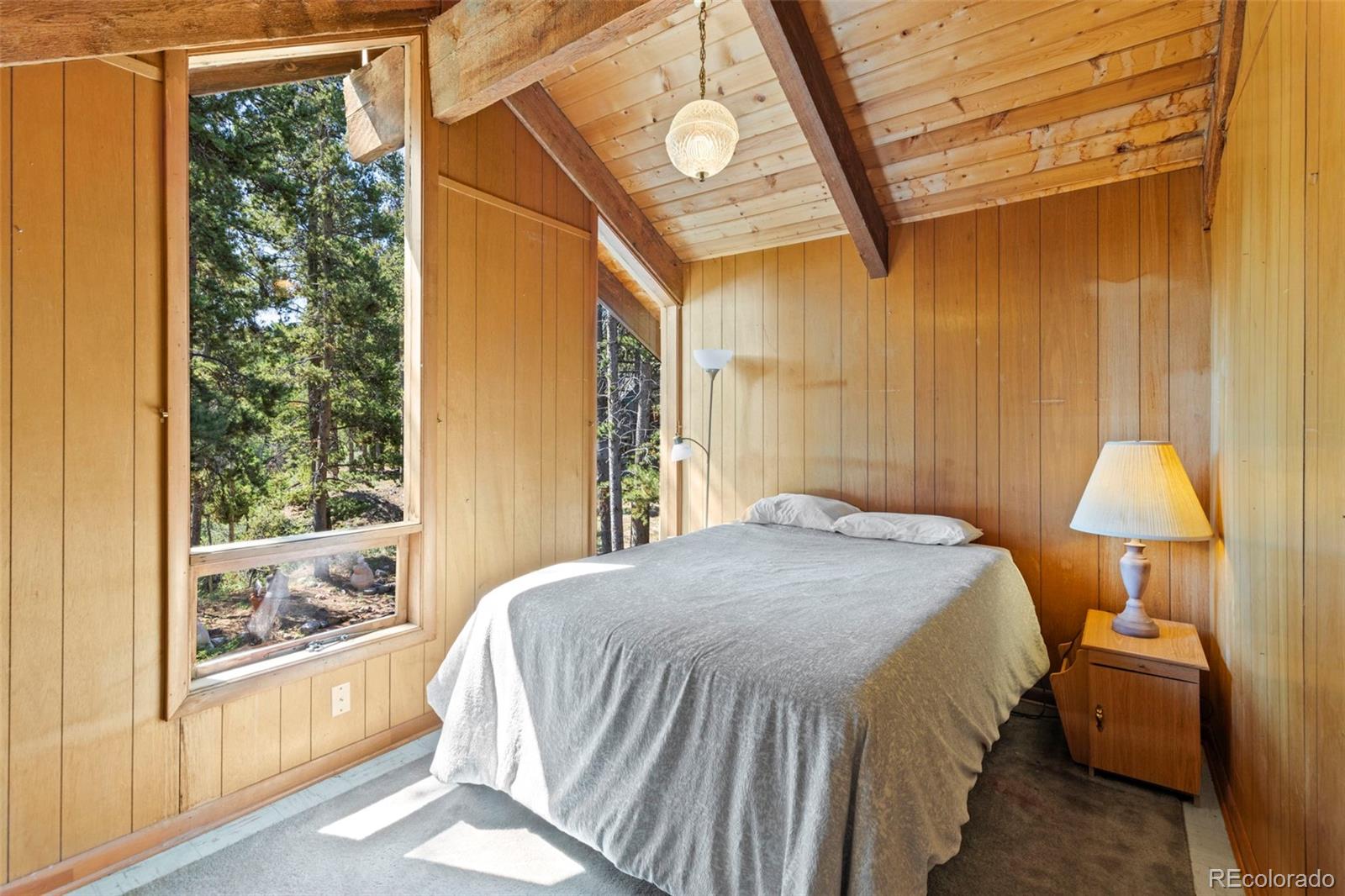 MLS Image #31 for 128  royal tiger road,breckenridge, Colorado
