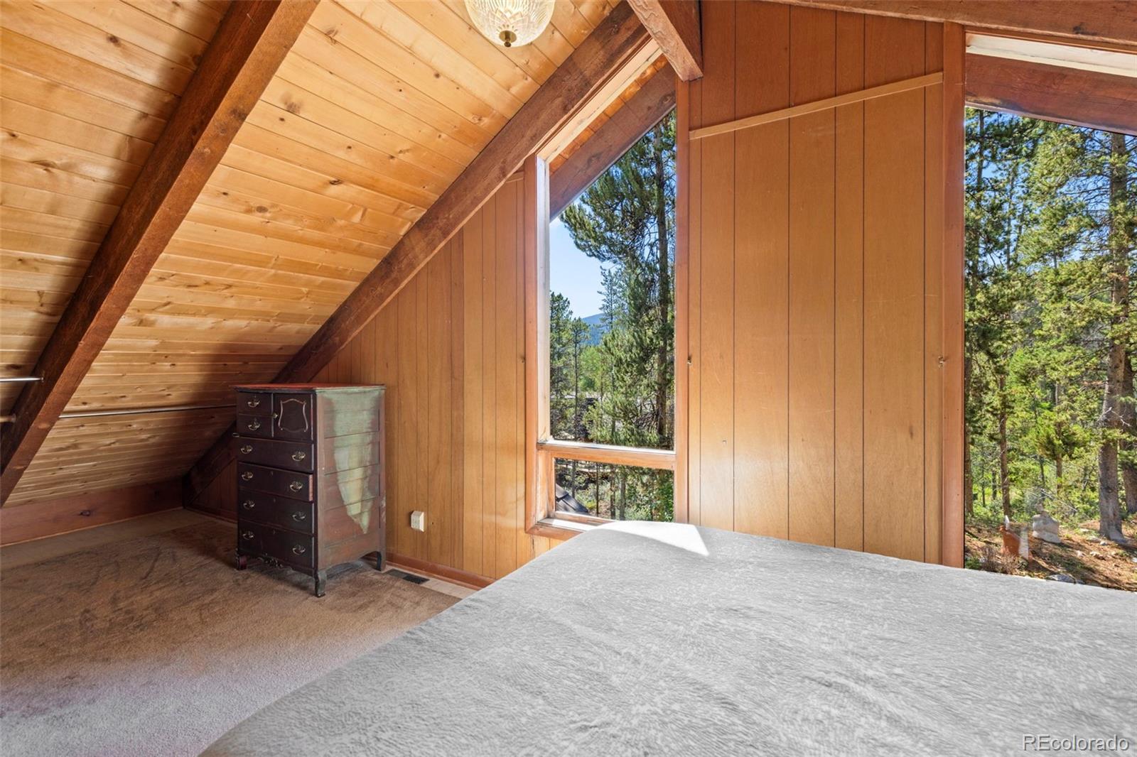 MLS Image #32 for 128  royal tiger road,breckenridge, Colorado