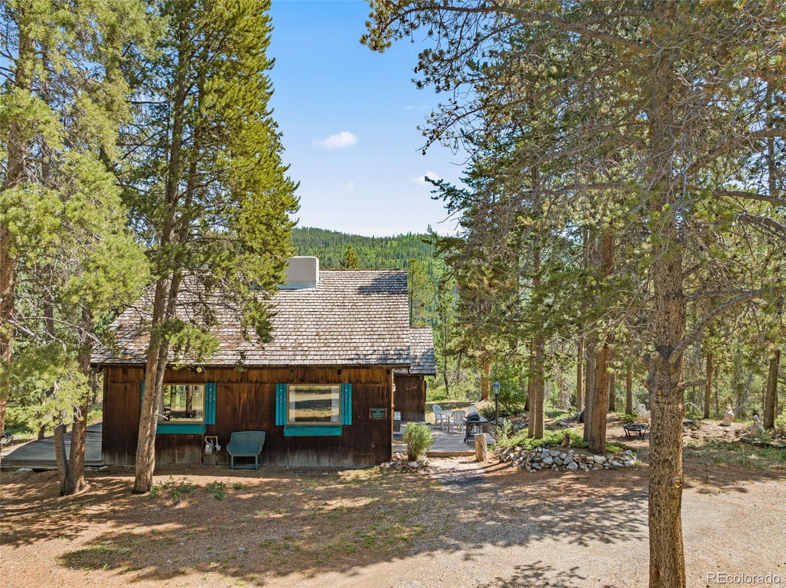 MLS Image #5 for 128  royal tiger road,breckenridge, Colorado