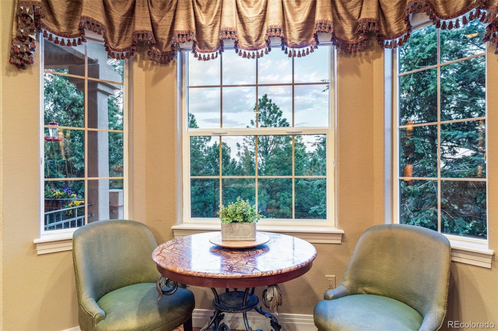 MLS Image #17 for 856  mont blanc view,colorado springs, Colorado