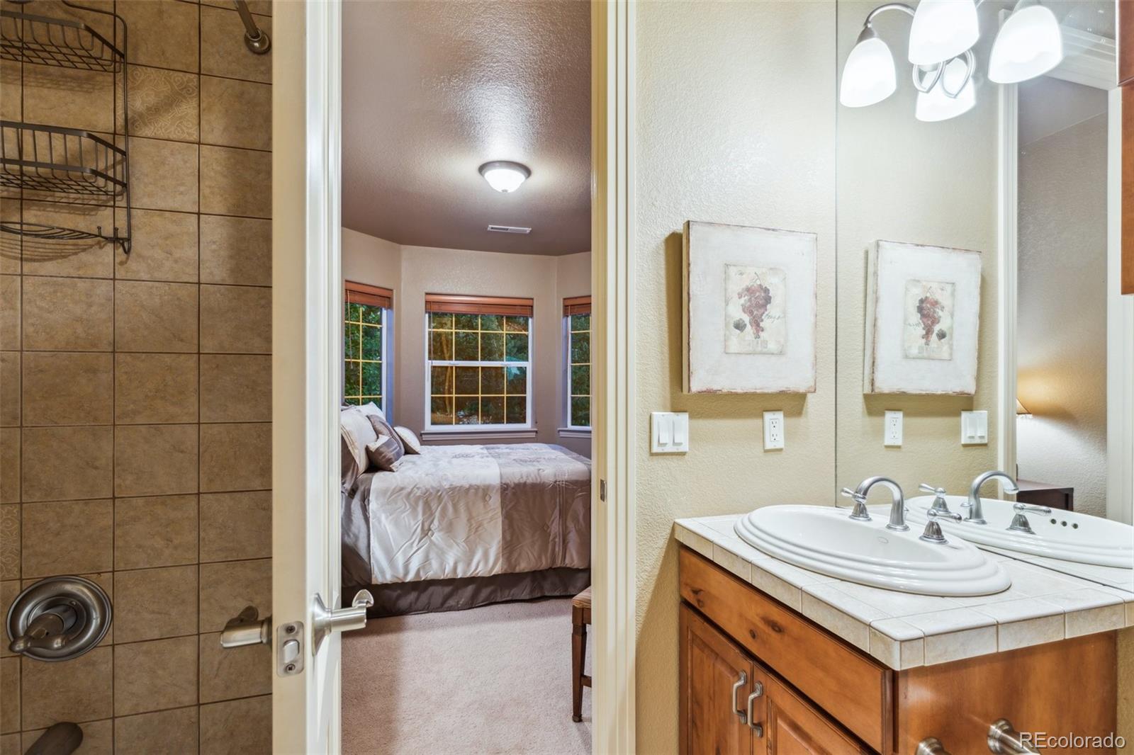 MLS Image #29 for 856  mont blanc view,colorado springs, Colorado