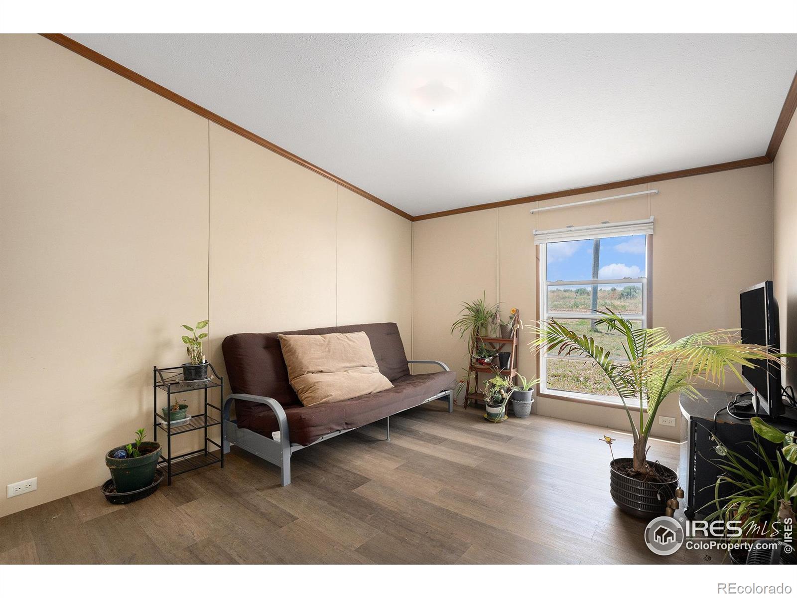 MLS Image #12 for 16373  barley avenue,fort lupton, Colorado