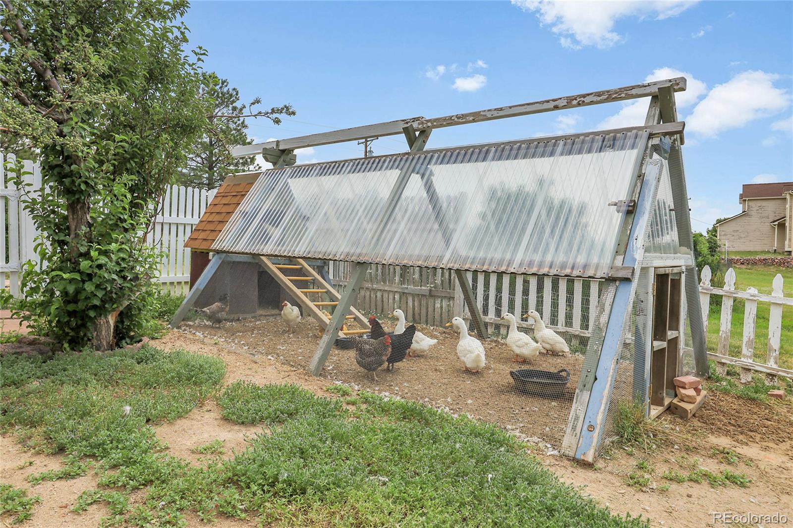 MLS Image #36 for 19040  beacon lite road,monument, Colorado