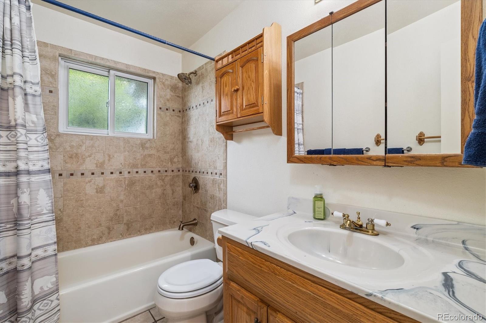 MLS Image #19 for 4469 s field court,littleton, Colorado