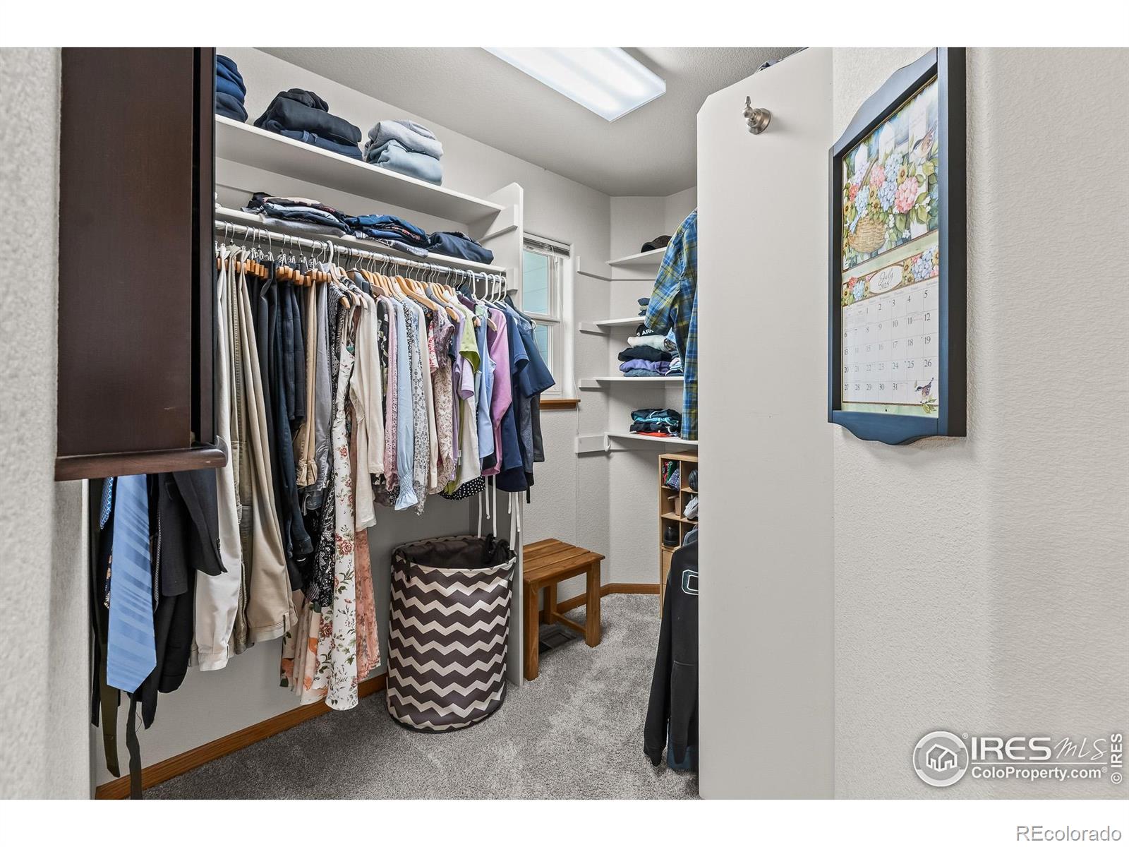 MLS Image #19 for 3825  nations way,berthoud, Colorado