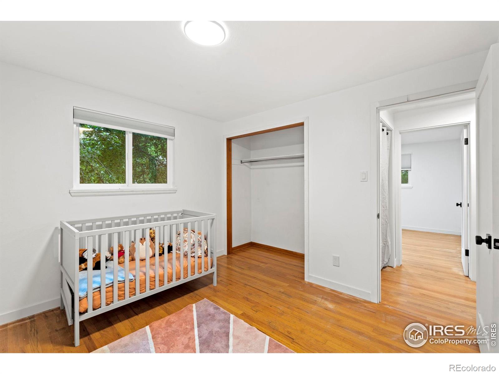 MLS Image #19 for 45  anniversary lane,longmont, Colorado