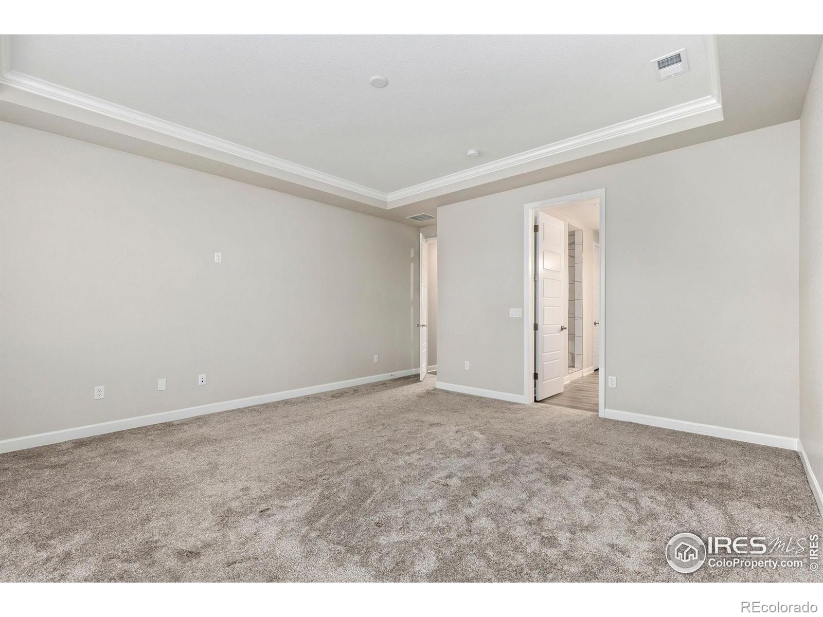 MLS Image #21 for 797  flora view drive,erie, Colorado