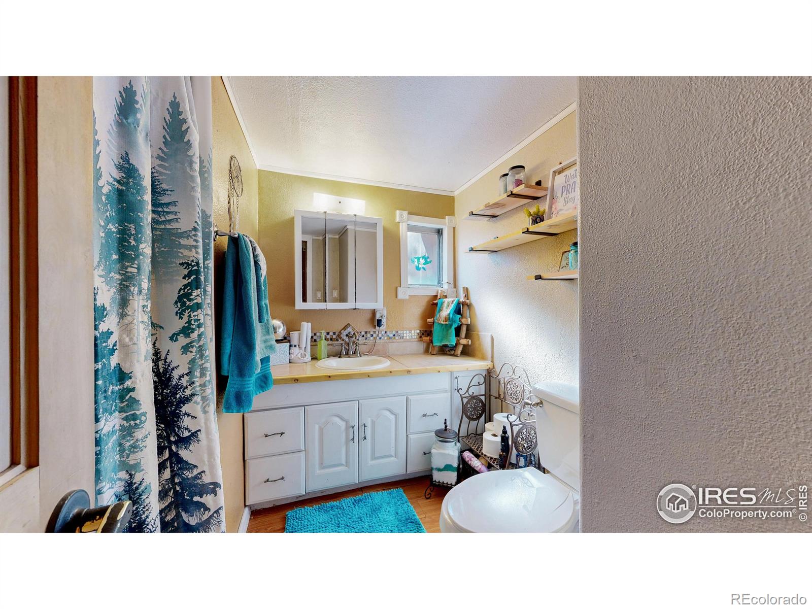 MLS Image #15 for 4251  grand teton road,greeley, Colorado