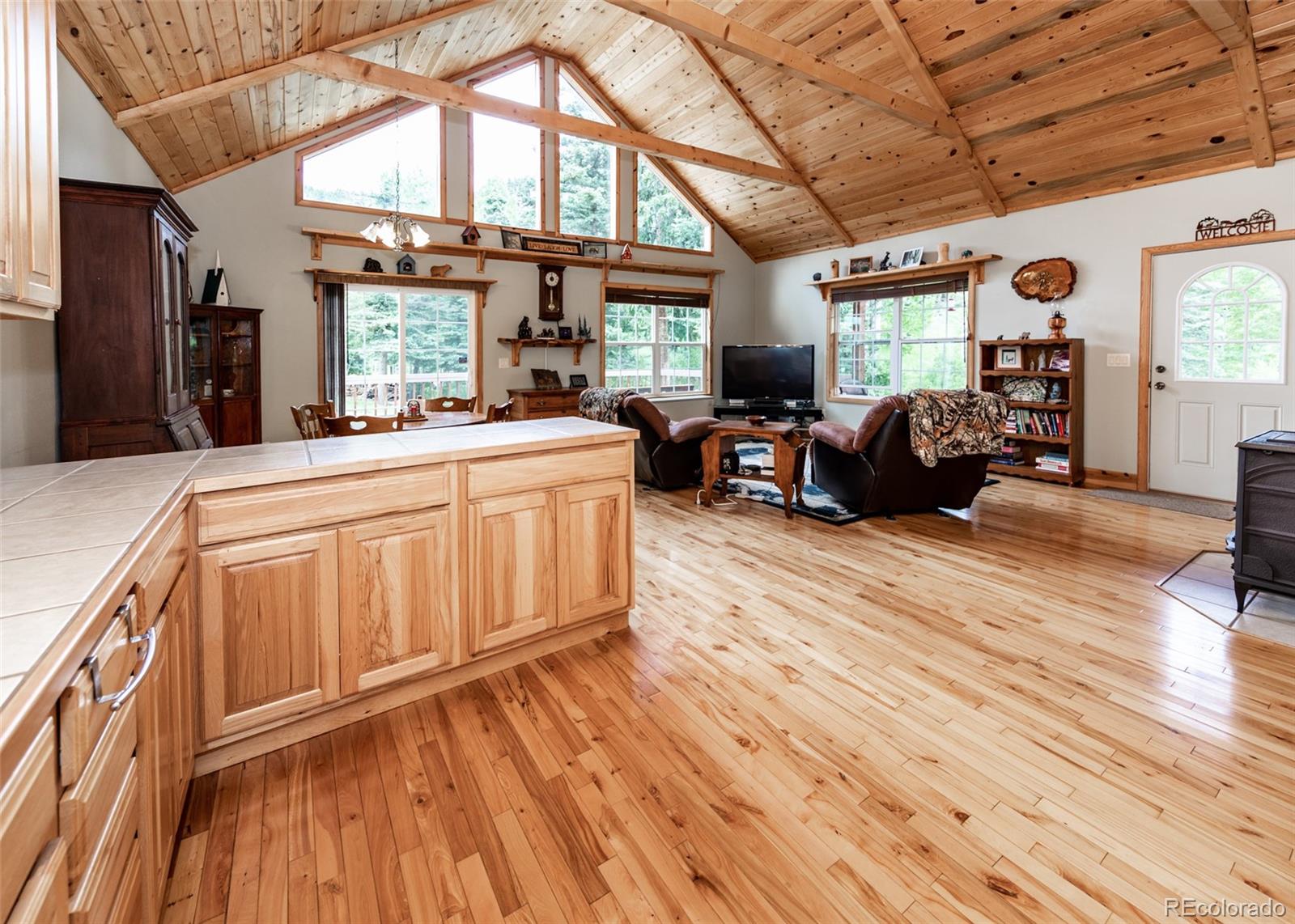 MLS Image #21 for 331  westcliffe drive,rye, Colorado