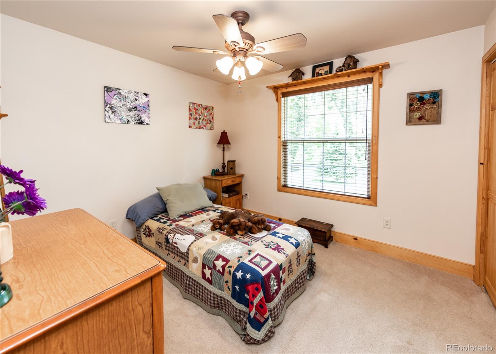 MLS Image #35 for 331  westcliffe drive,rye, Colorado
