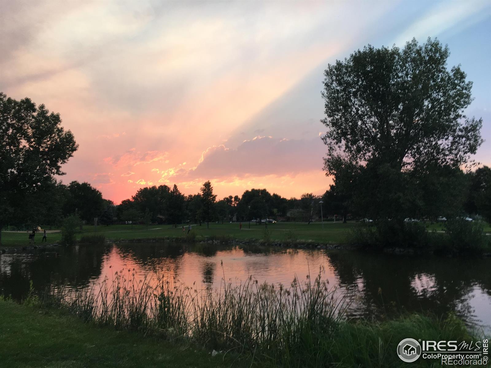MLS Image #29 for 1218  sunset street,longmont, Colorado