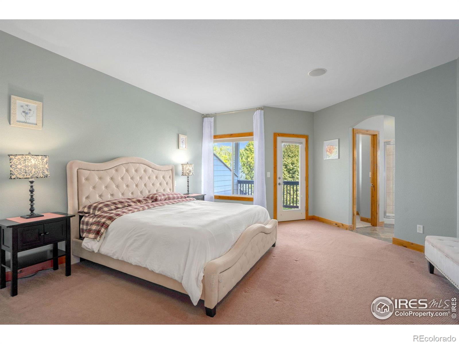 MLS Image #14 for 2602  southfield court,fort collins, Colorado